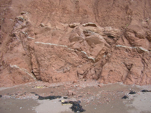 A small normal fault as shown by the white line of sediment. From: http://study.com/cimages/multimages/16/800px-minor_normal_faults.png