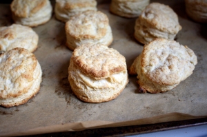 A good start . . .http://www.thepauperedchef.com/images/2010/05/biscuits-and-gravy-15.jpg